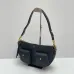 Celine Triomphe Shoulder Bag with Multiple Pockets #A45664