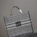 Christian Dior Stripes book tote AAA+ bags #A42327