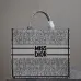 Christian Dior Stripes book tote AAA+ bags #A42327