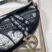 Dior Oblique Saddle Bag #999914673