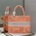 Dior book tote AAA+ Handbags #999926120