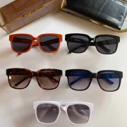  Balenciaga AAA Sunglasses #9875030