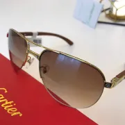 Cartier AAA+ Sunglasses #9875140