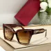 Valentino Sunglasses AAA+ #A36216