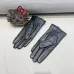 Louis Vuitton Glove #A42888