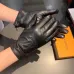 Louis Vuitton Glove #A42896