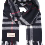 Burberry Men's Scarf Navy blue cashmere #9115986