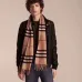 Burberry Scarfs #9130383