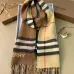 Burberry Scarfs #A42657