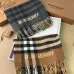 Burberry Scarfs #A42657