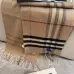 Burberry Scarfs #A42681