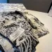 Dior AAA Scarf #A31254