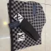 Louis Vuitton Scarf #999902470