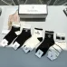 Women's Chanel Socks in Brown and Beige #A45591