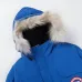 2022 Canada Goose Long Down Coats men and women #999930471