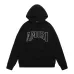 AMIRI Hoodies for Men #A41353