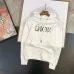 Cheap Dior hoodies for Men #999924854