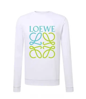 Loewe Hoodies #999918938