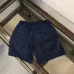 Louis Vuitton 2024 latest beach shorts #A39223