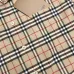 Burberry Shirts for Burberry Men's AAA+ Burberry Long-Sleeved Shirts #99902071