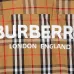 Burberry Shirts for Men's Burberry Long-Sleeved Shirts #999925462