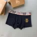 Burberry Underwears for Men (3PCS) #99117244