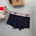 Burberry Underwears for Men (3PCS) #99117245