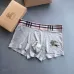 Burberry Underwears for Men (3PCS) #99117249