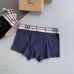 Burberry Underwears for Men (3PCS) #99117250