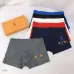 Louis Vuitton Underwears for Men (3PCS) #99117272