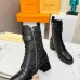 Louis Vuitton Shoes for Women's Louis Vuitton boots #A26877